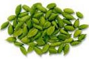 Cardamom